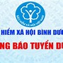 Bảo Hiểm Bảo Việt Bình Dương Tuyển Dụng