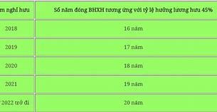 Cách Tính Mức Hưởng Bhxh Tự Nguyện