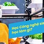 Công Nghệ Sinh Học Y Dược Văn Lang Học Phí