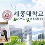 Trường Sejong Thuộc Top Mấy Việt Nam 2024 Là Gì